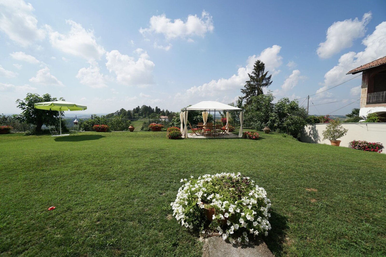 Il Pianeta Anziani 1